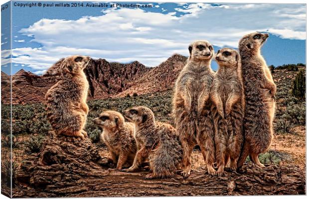 MEERKAT FAMILY  Canvas Print by paul willats