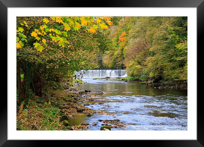  Cramond Weir Framed Mounted Print by Alan Whyte