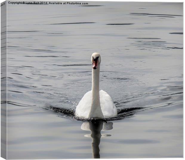  Ride a White Swan Canvas Print by Lynn Bolt
