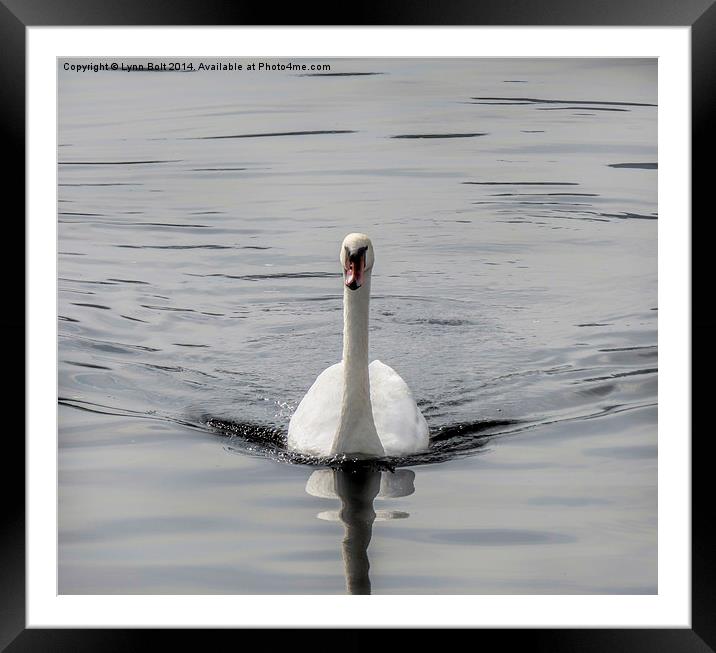  Ride a White Swan Framed Mounted Print by Lynn Bolt