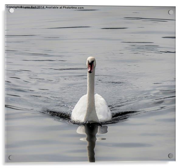  Ride a White Swan Acrylic by Lynn Bolt