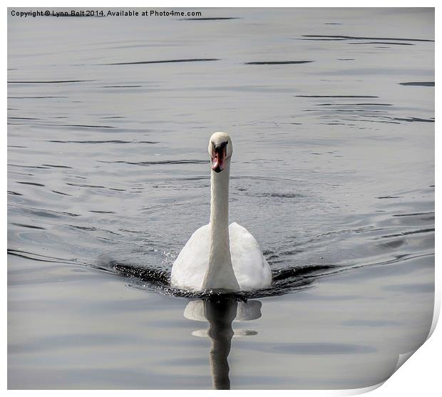  Ride a White Swan Print by Lynn Bolt