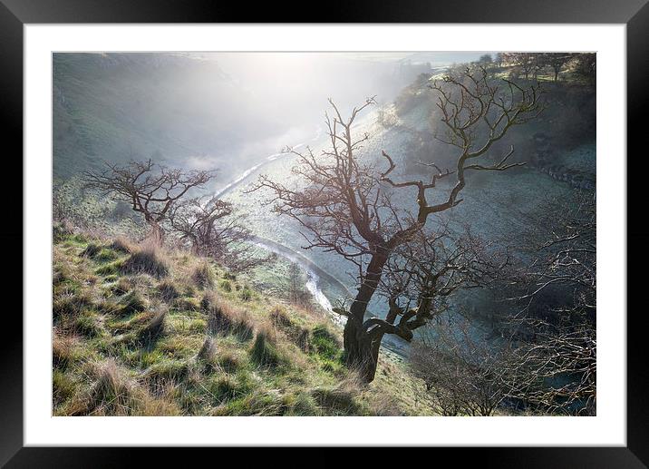  Morning mist in Lathkill Dale Framed Mounted Print by Andrew Kearton