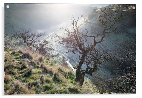  Morning mist in Lathkill Dale Acrylic by Andrew Kearton