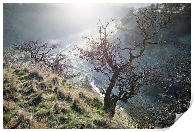  Morning mist in Lathkill Dale Print by Andrew Kearton
