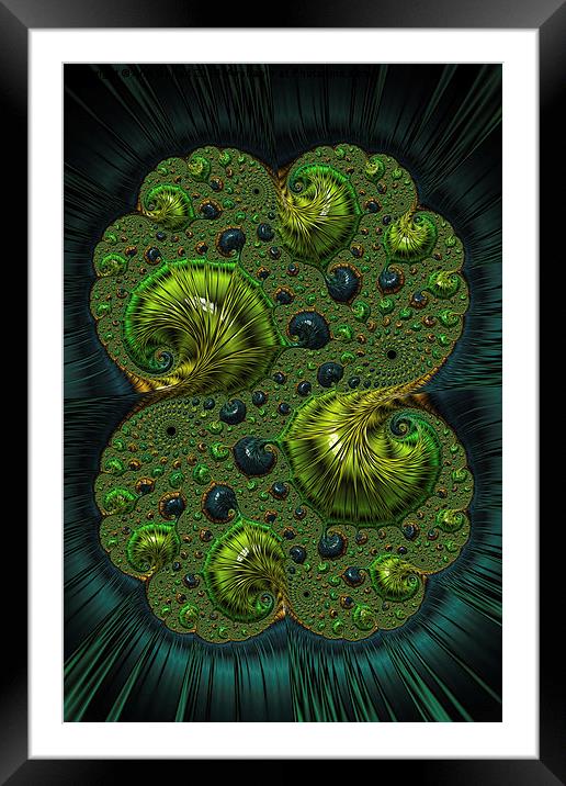 Fractal Embroidery  A Fractal Abstract Framed Mounted Print by Ann Garrett