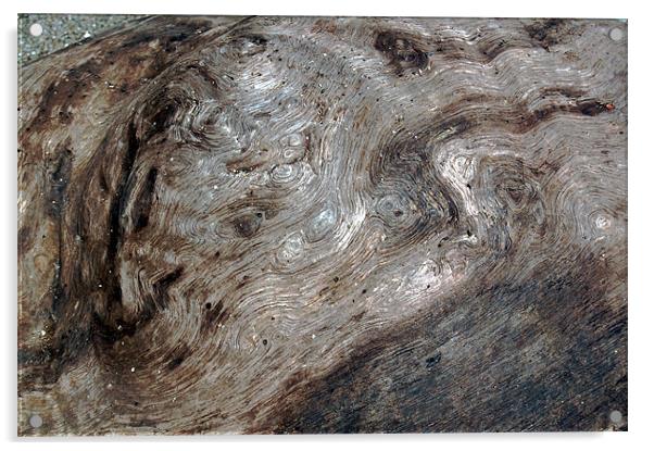 Driftwood Acrylic by james balzano, jr.