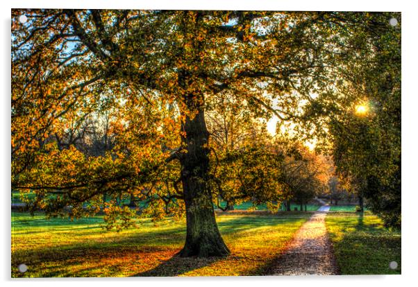 England in Autumn Acrylic by David Pyatt