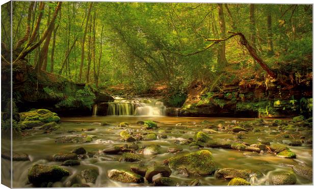 Babbling Brook  Canvas Print by IAN SUFFIELD