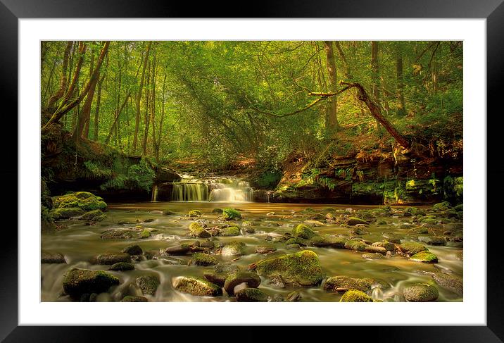 Babbling Brook  Framed Mounted Print by IAN SUFFIELD