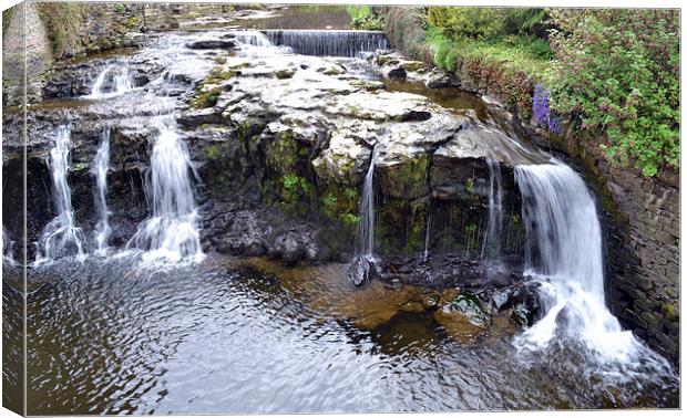  The waterfall at hawes Canvas Print by Paul Collis