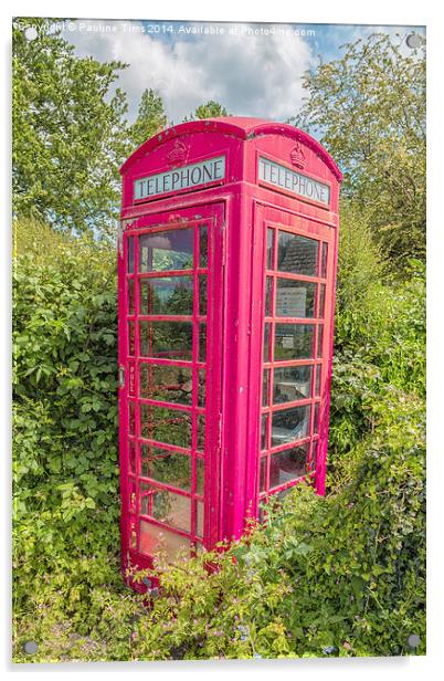  Great British Red Phone Box Acrylic by Pauline Tims