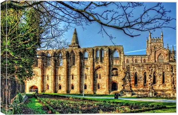 Dunfermline Abbey Ruin Canvas Print by Tom Gomez