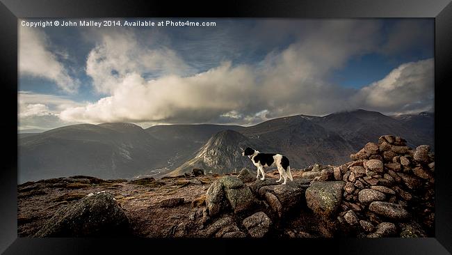  Taking in the view Framed Print by John Malley