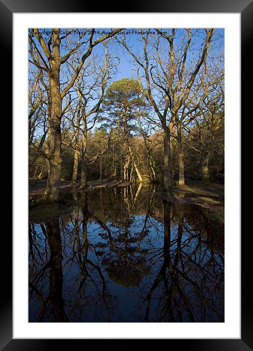 Ober Water Reflections  Framed Mounted Print by Colin Tracy