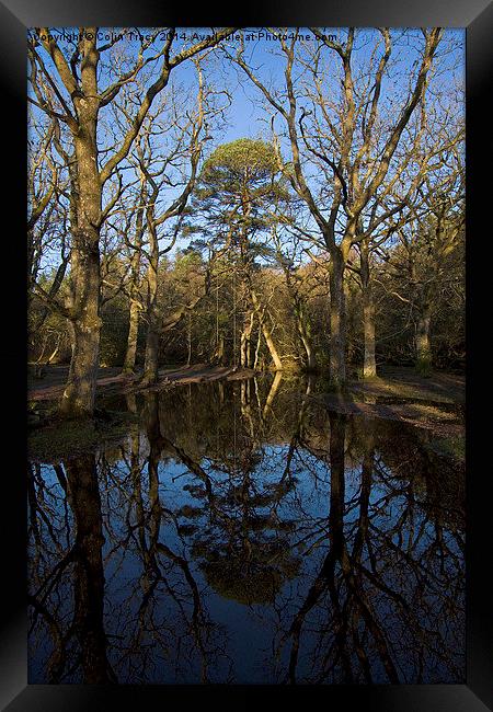 Ober Water Reflections  Framed Print by Colin Tracy