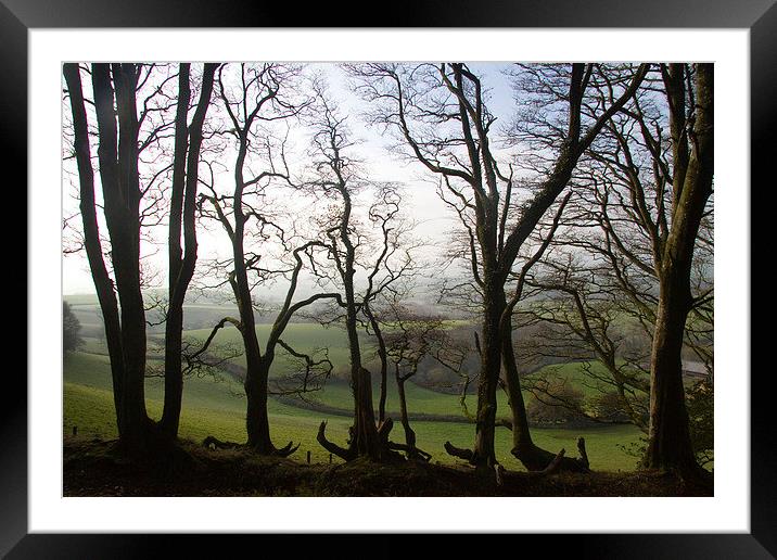  From Lewesdon Hill, Dorset, UK Framed Mounted Print by Colin Tracy