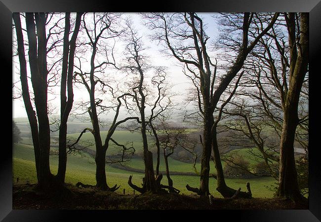  From Lewesdon Hill, Dorset, UK Framed Print by Colin Tracy