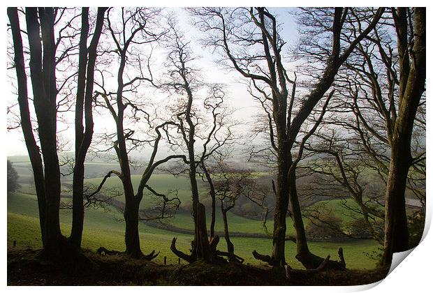  From Lewesdon Hill, Dorset, UK Print by Colin Tracy