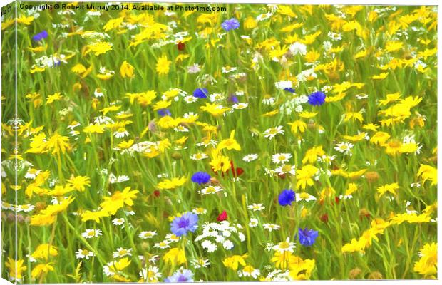  Wild Flower Meadow Canvas Print by Robert Murray