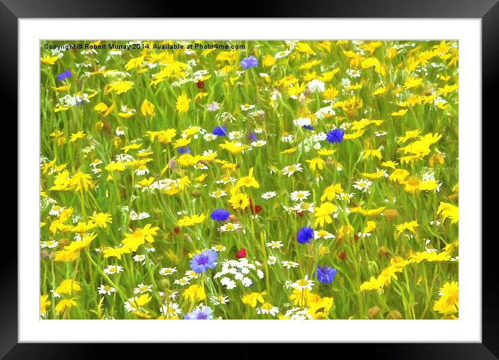  Wild Flower Meadow Framed Mounted Print by Robert Murray