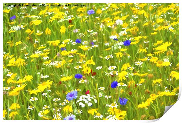  Wild Flower Meadow Print by Robert Murray