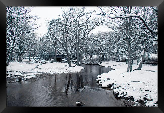 Snowy Puttles Bridge, New Forest Framed Print by Colin Tracy