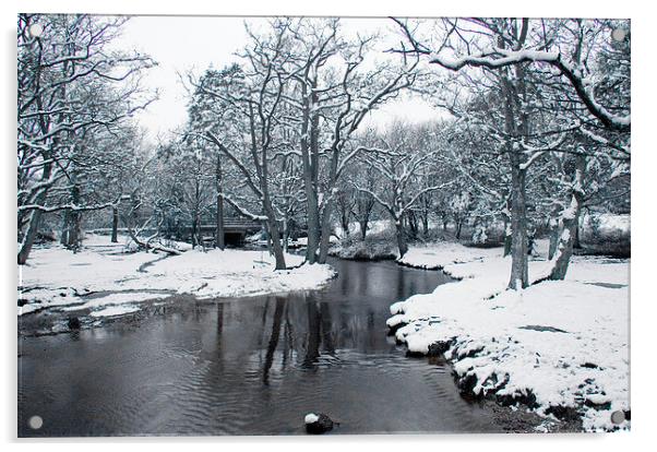 Snowy Puttles Bridge, New Forest Acrylic by Colin Tracy