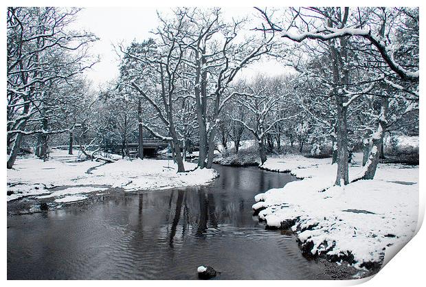Snowy Puttles Bridge, New Forest Print by Colin Tracy