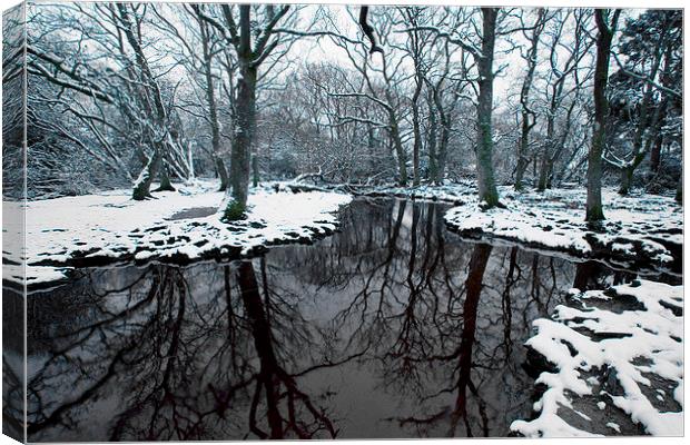 Ober Water Winter  Canvas Print by Colin Tracy