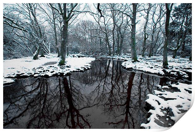 Ober Water Winter  Print by Colin Tracy