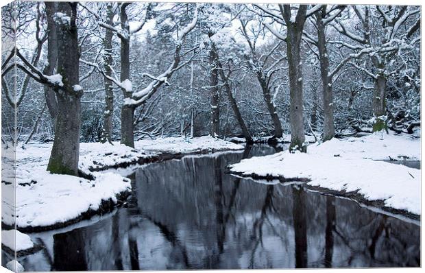  Ober Water Winter 2 Canvas Print by Colin Tracy