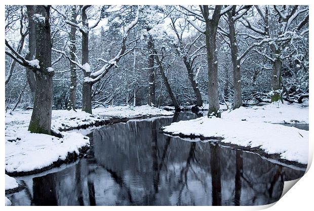  Ober Water Winter 2 Print by Colin Tracy