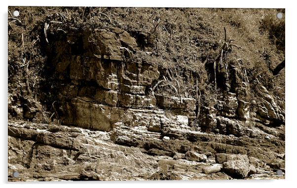  Rock Formation Tritone Acrylic by james balzano, jr.