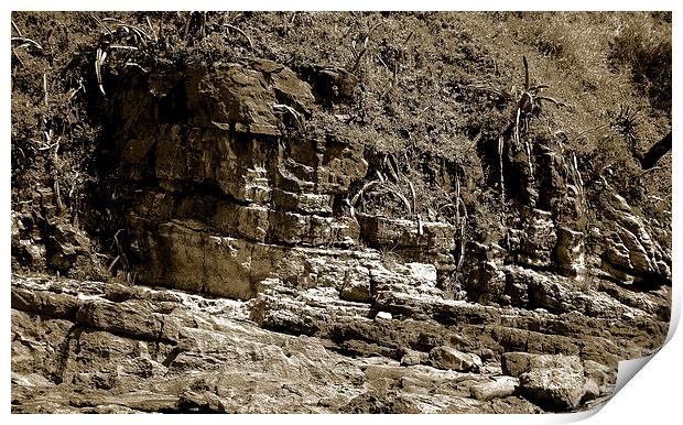  Rock Formation Tritone Print by james balzano, jr.