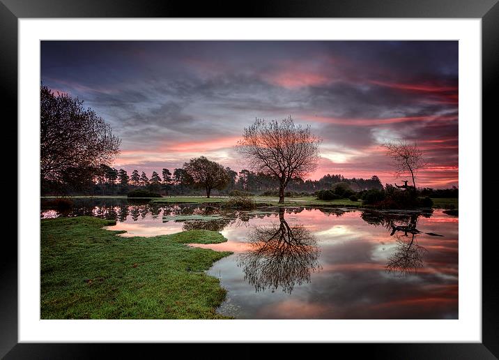  Janesmoor Pond at Sunrise Framed Mounted Print by Jennie Franklin