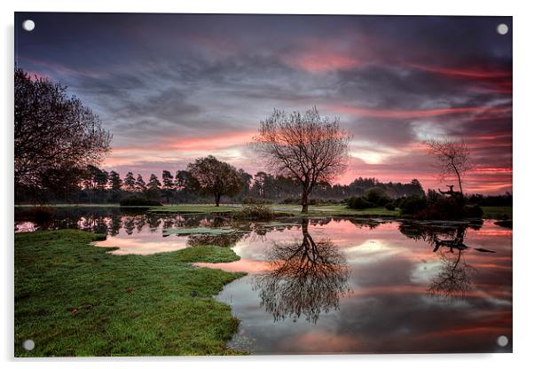  Janesmoor Pond at Sunrise Acrylic by Jennie Franklin