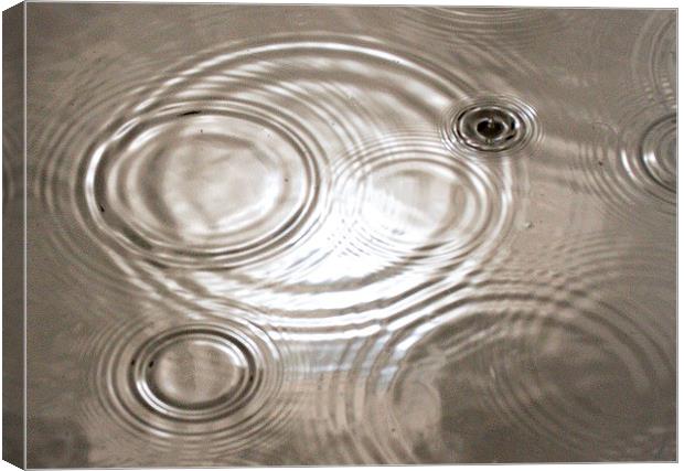  Rain and Ripples and Sun Canvas Print by Colin Tracy