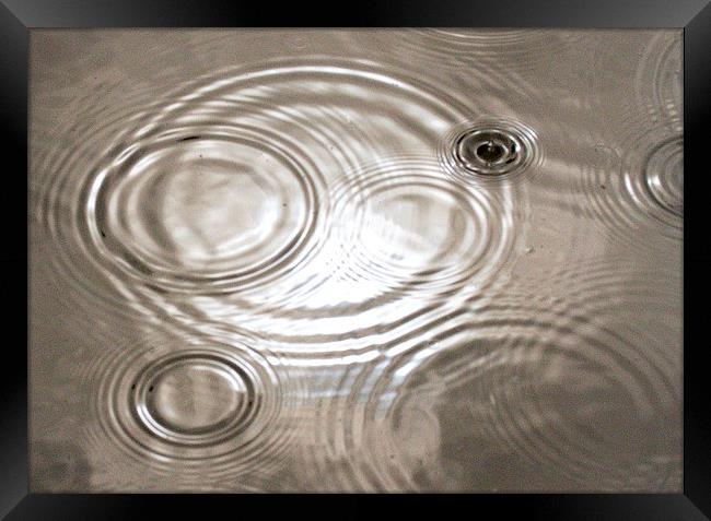  Rain and Ripples and Sun Framed Print by Colin Tracy