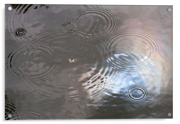  Rain Patterns on Surface of Pond Acrylic by Colin Tracy