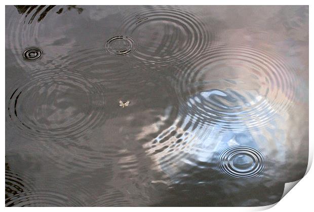  Rain Patterns on Surface of Pond Print by Colin Tracy