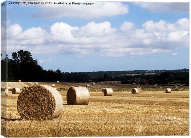Harvest is in! Lines of Rolls of Straw in a Norfol Canvas Print by john hartley