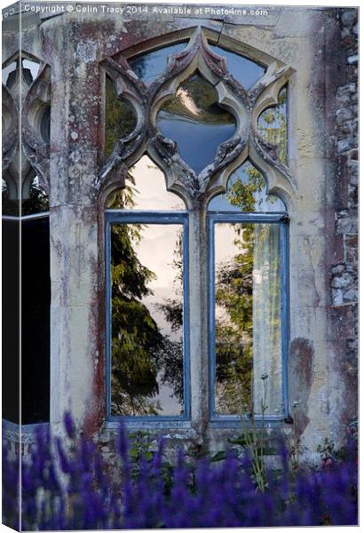 Reflection in Old Window  Canvas Print by Colin Tracy