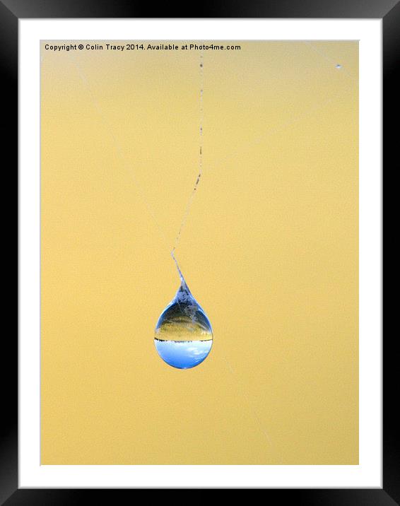 Water drop on Spider's Web Framed Mounted Print by Colin Tracy