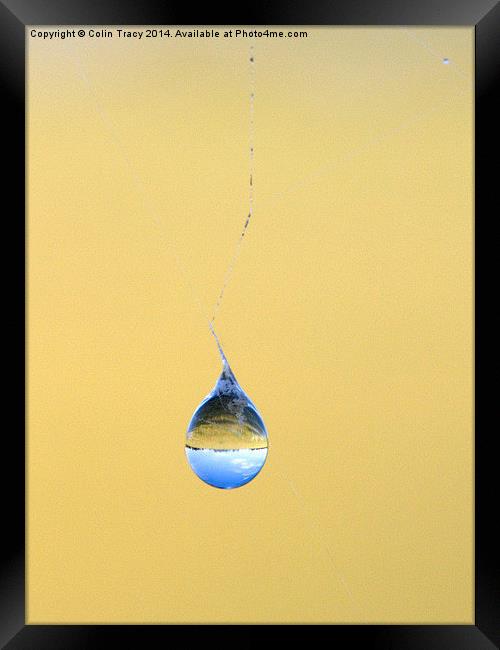 Water drop on Spider's Web Framed Print by Colin Tracy