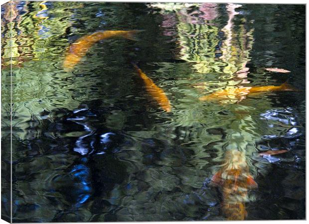 Goldfish and Reflections 2  Canvas Print by Colin Tracy