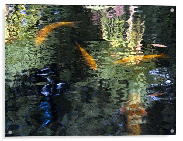 Goldfish and Reflections 2  Acrylic by Colin Tracy