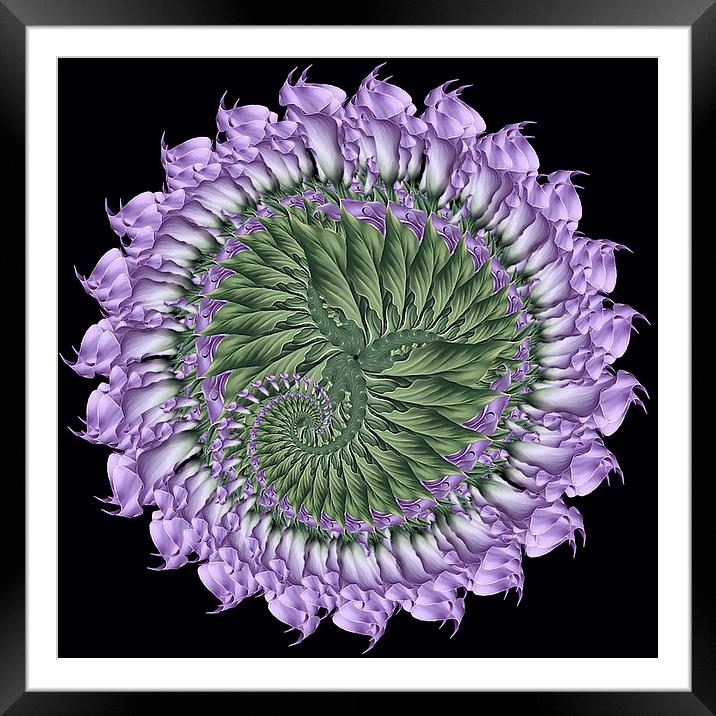 Fractal Purple And Green Flora Framed Mounted Print by Tanya Hall