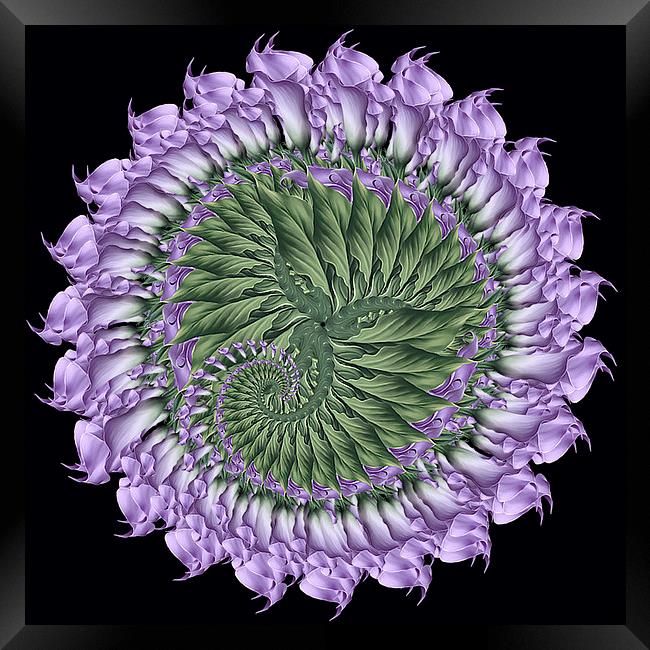 Fractal Purple And Green Flora Framed Print by Tanya Hall