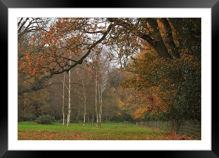  Silvery autumn colours perfectly framed by an oak Framed Mounted Print by James Tully